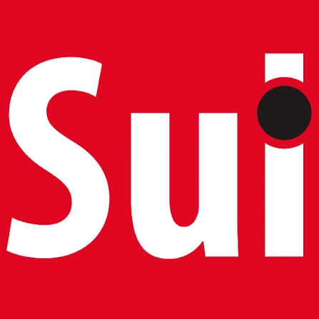 Sul Informação